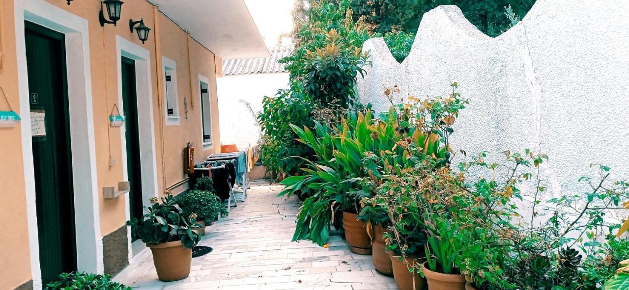 פאלאוקסטריצה Vassilis Apartments מראה חיצוני תמונה