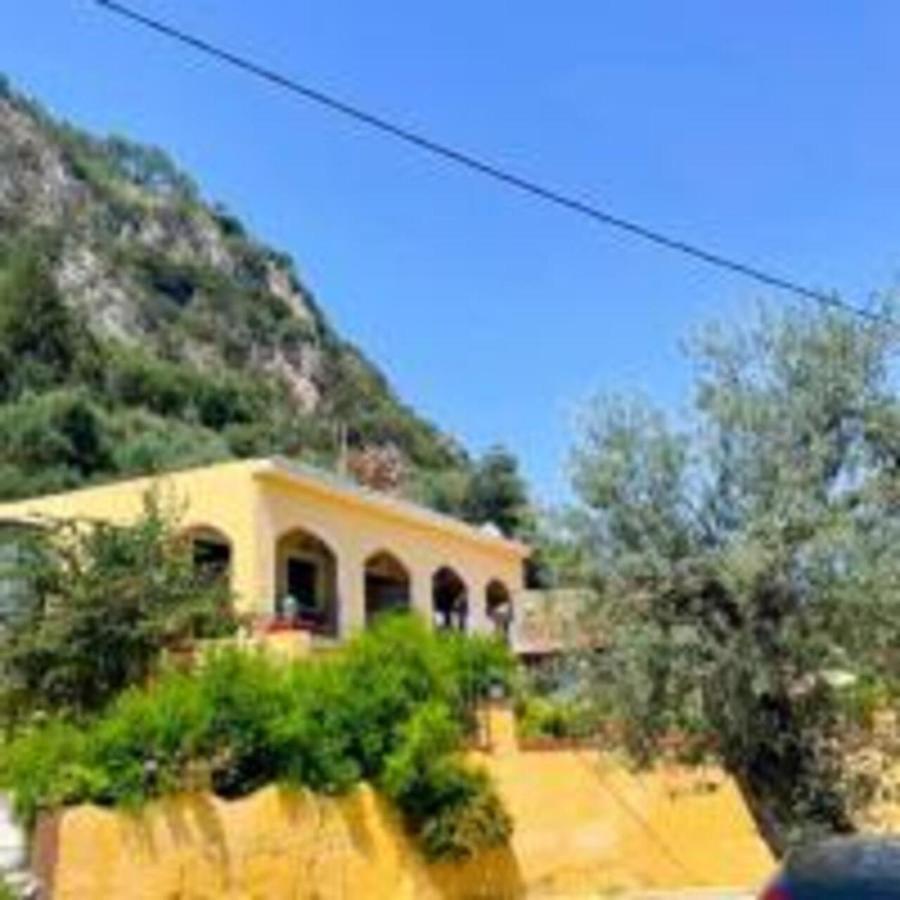 פאלאוקסטריצה Vassilis Apartments מראה חיצוני תמונה